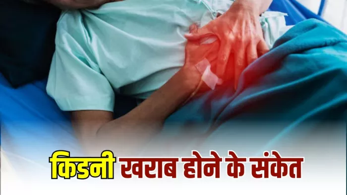 क्या हैं किडनी खराब होने के संकेत (Image Credit- Freepik)