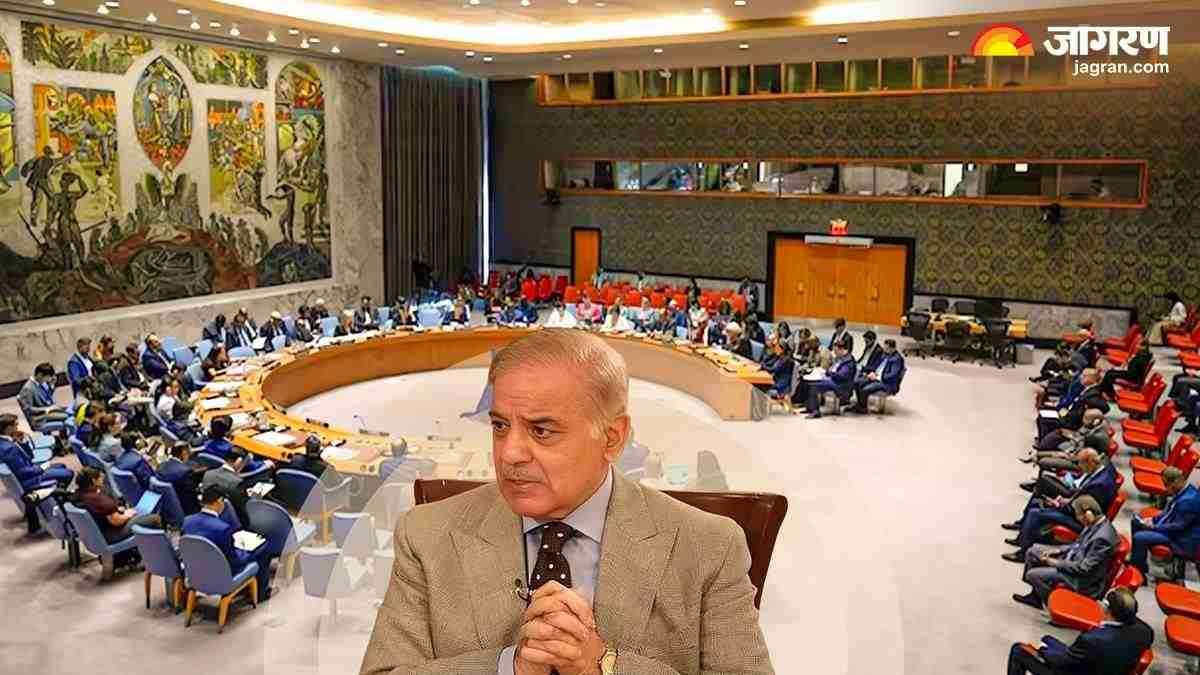 https://www.jagranimages.com/images/newimg/08062025/08_06_2025-pakistan_unsc_23958730.jpg
