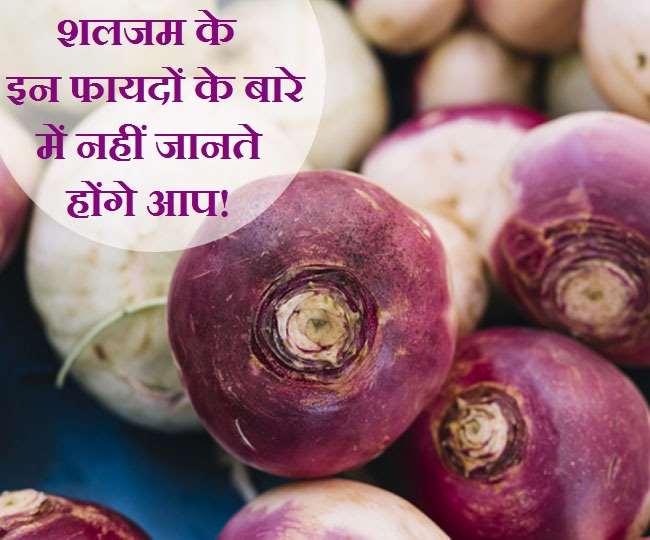 Turnip Benefits वज़न कम करने से लेकर फेफड़ों को स्वस्थ रखने तक, ऐसे