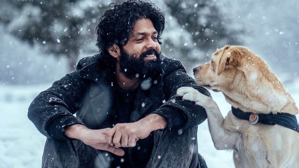 777 charlie ott release date when and where to watch rakshit shetty s dog centric film