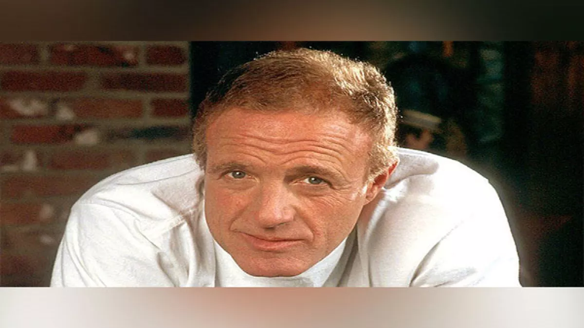 James Caan Passes Away: नहीं रहे 'The Godfather' फेम एक्टर जेम्स कान, 82 साल की उम्र में निधन