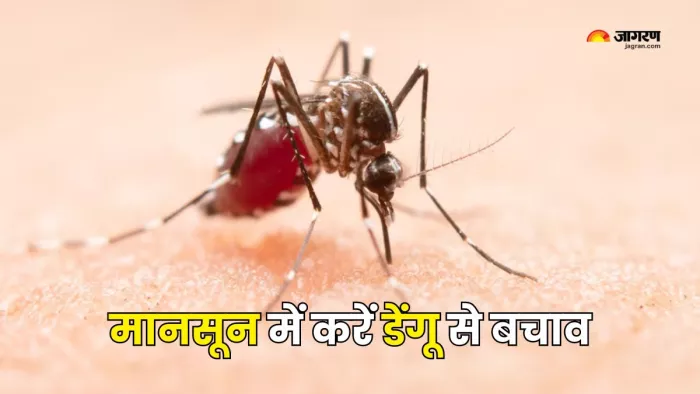 Dengue के बढ़ते कहर से करें अपनी सुरक्षा (Picture Courtesy: Freepik)