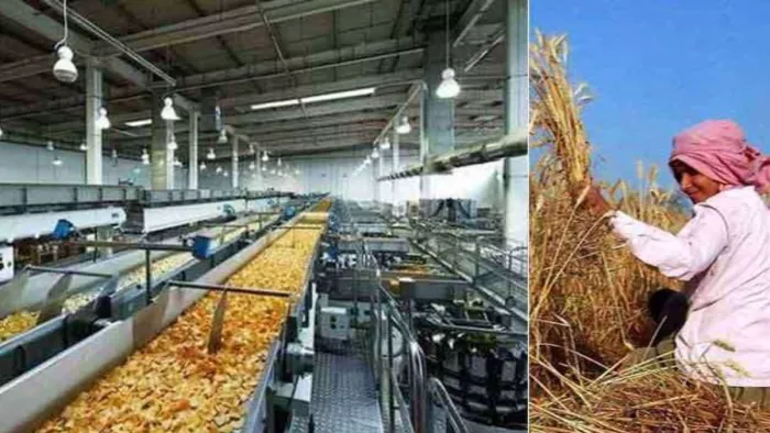 कृषि आधारित व्यवसाय में लगे उद्यमी उठा सकेंगे विशेष छूट का लाभ (सांकेतिक)।