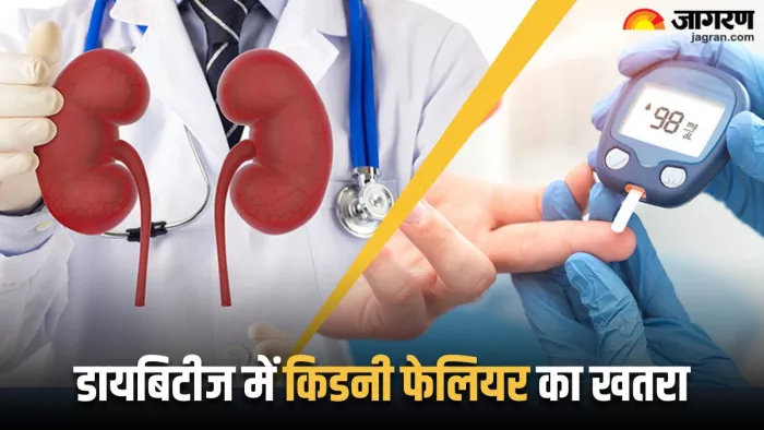 डायबिटीज में रहती है किडनी फेलियर की आशंका, इन लक्षणों से कर सकते हैं पहचान (Image Source: Freepik)