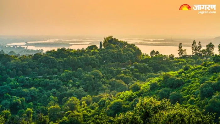 मानसून में मध्य प्रदेश में घूमने वाली जगहें (Pic credit- freepik)