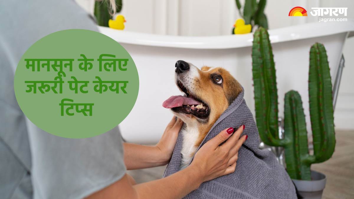 https://www.jagranimages.com/images/newimg/08072024/08_07_2024-monsoon_pet_care_tips_23754460.jpg
