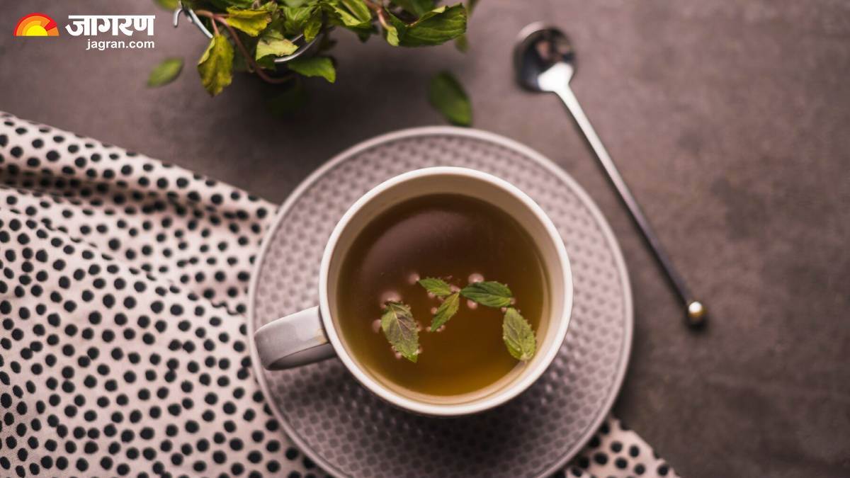 https://www.jagranimages.com/images/newimg/08072024/08_07_2024-tulsi_kadha_benefits_23754696.jpg