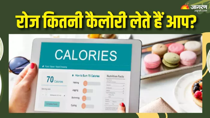 कितना होना चाहिए आपका डेली कैलोरी काउंट? (Picture Courtesy: Freepik)