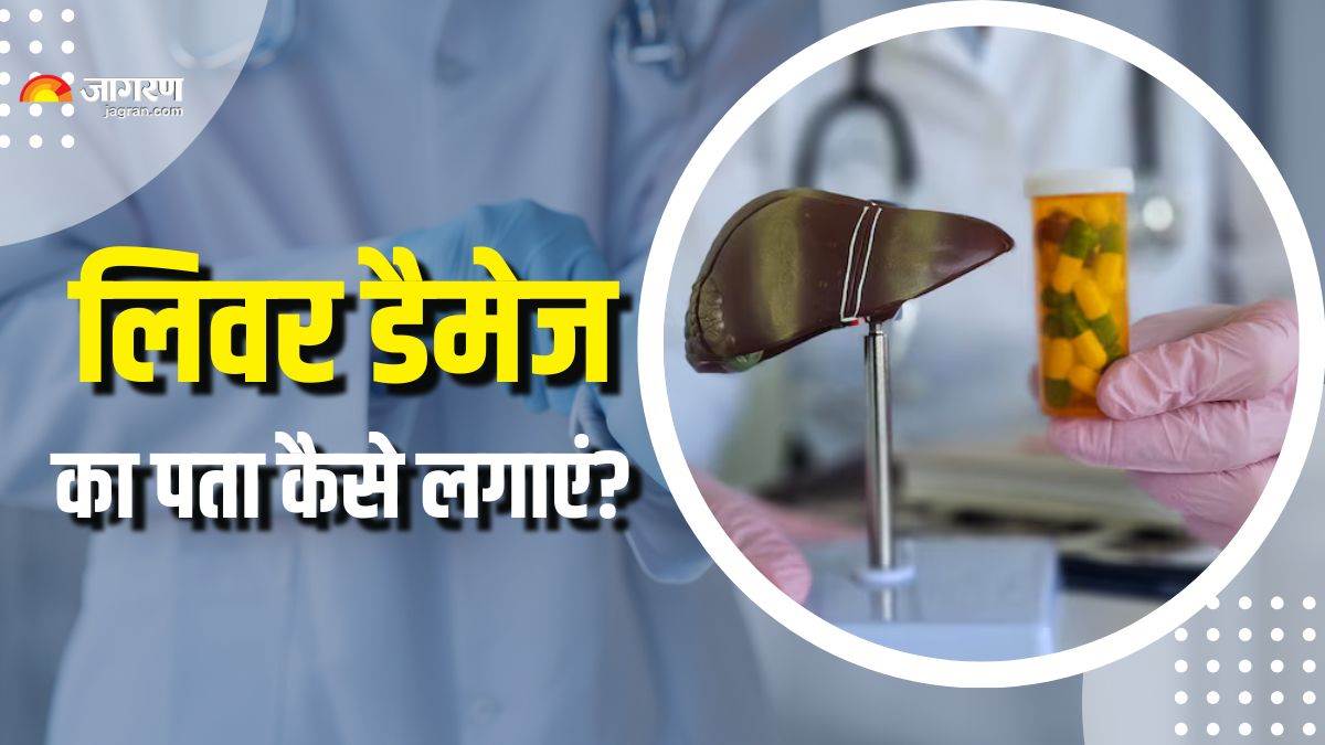 4 simple home test which can reveal about your liver health check details here