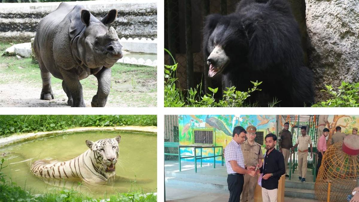 https://www.jagranimages.com/images/newimg/08072025/08_07_2025-kanpur_zoo_2_23979056.jpg