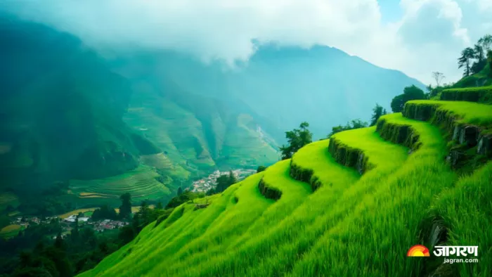 मानसून में घूमने के लिए बेस्ट हैं भारत की 4 जगहें (Image Source: Freepik)