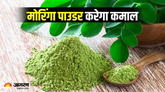 सेहत के लिए वरदान से कम नहीं Moringa Powder, डाइट में शामिल करने से मिलेंगे गजब फायदे (Image Source: Freepik)
