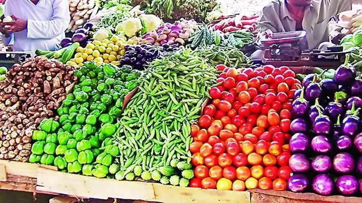Haryana Vegetables Price Hike: बारिश से बढ़ी सब्जियों की महंगाई, झज्जर मंडी में आसमान छूते दाम; चेक करें रेट लिस्ट