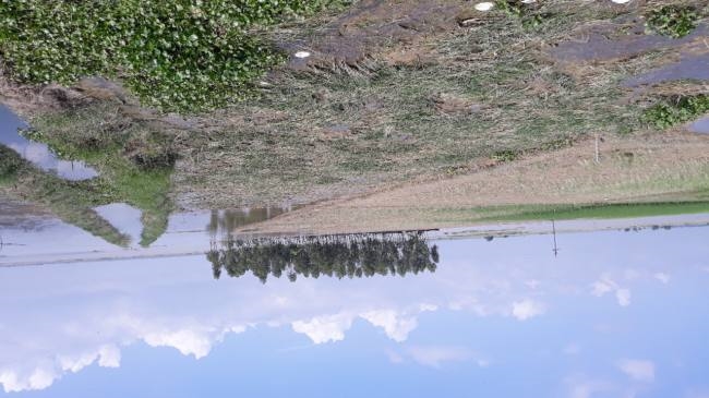 दोहरीघाट में 10 एकड़ भूमि कटी, कई एकड़ फसल जलमग्न