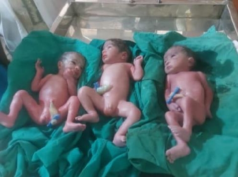 चंदौली: पीडीडीयू नगर के मातृ एवं शिशु ङ्क्षवग अस्पताल में जन्‍मे तीन बच्‍चे।