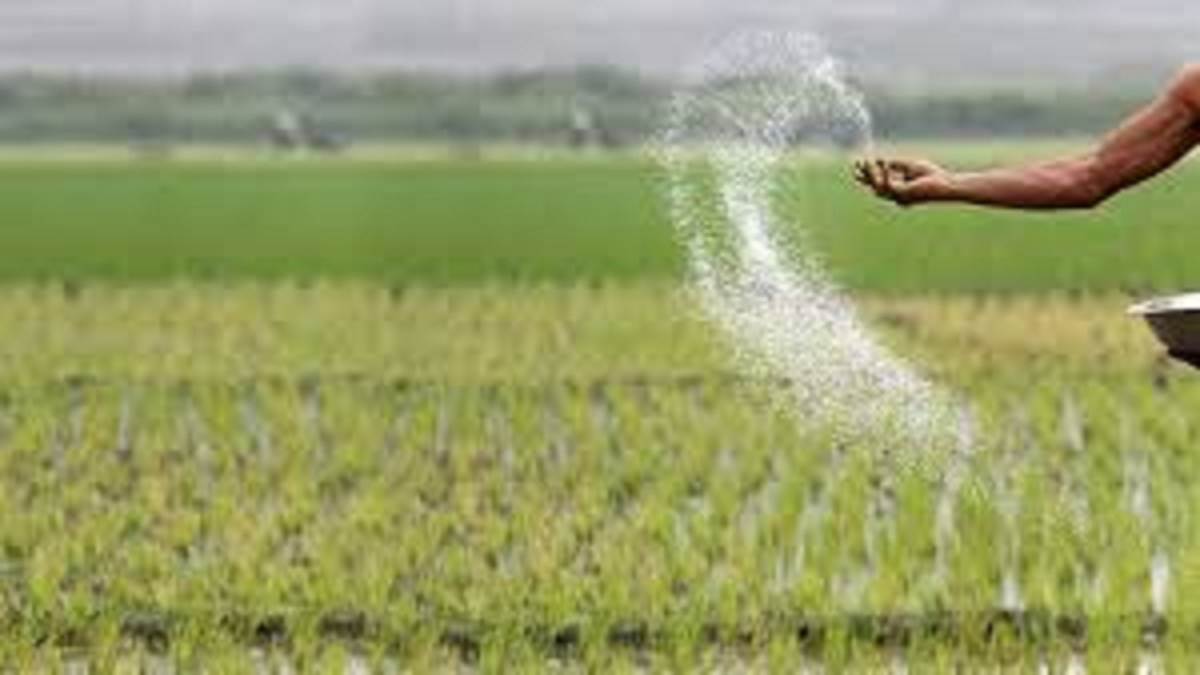 प्राकृतिक खेती की दिशा में सरकारी प्रयासों के बाद भी रासायनिक खाद पर किसानों की निर्भरता बढ़ती जा रही है।