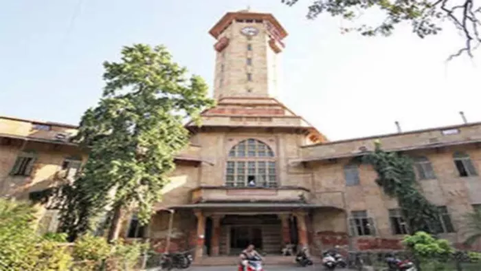 सौरभ नर्सरी में सोमवार को 5 से 6 फीट के प्रतिबंधित पौधे मिले।