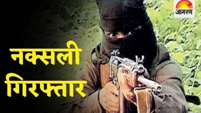 कोल्हान के जंगलों से 5 नक्सली गिरफ्तार, हथियार सहित कई सामान बरामद