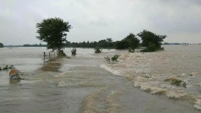 प्रस्तुति के लिए इस्तेमाल की गई तस्वीर