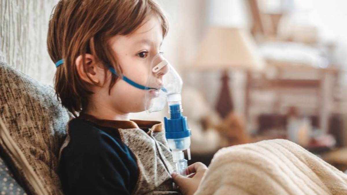 https://www.jagranimages.com/images/newimg/08082024/08_08_2024-best_nebulizer_machine_23774499.jpg