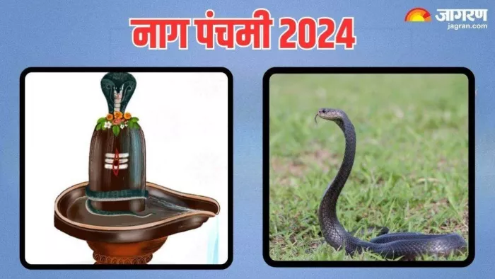 Nag Panchami 2024: नाग देवता के 108 नाम -