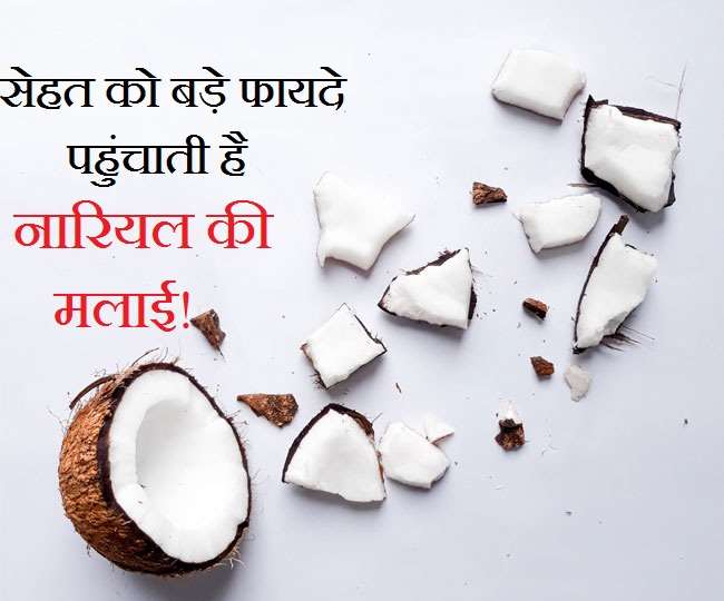 Coconut Malai Benefits नारियल की मलाई के हैं शौक़ीन, तो ज़रूर जान लें