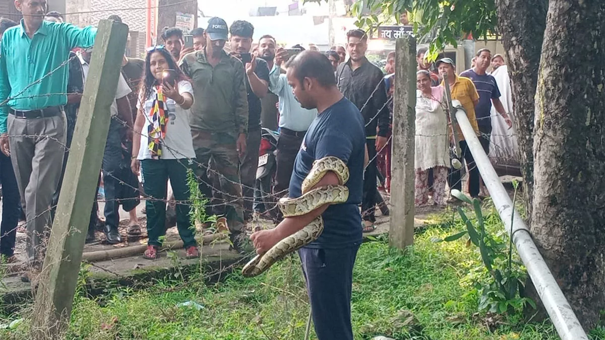 ऋषिकेश में वन विभाग की टीम ने अजगर को रेस्क्यू किया।
