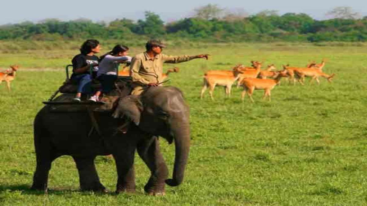 chief minister yogi adityanath approved the proposal for eco tourism of kusumhi forest