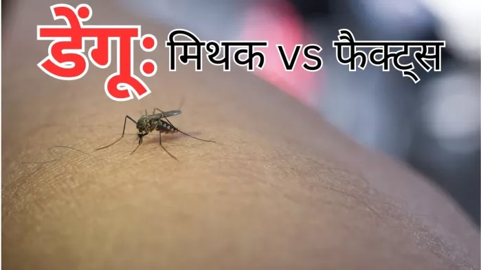 डेंगू से जुड़े 6 आम मिथक और फैक्ट्स