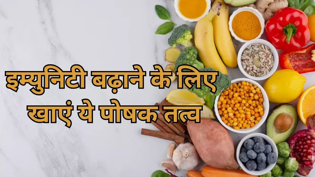 Foods For Immunity: मौसमी बीमारियों से खुद को रखना चाहते हैं सुरक्षित, तो डाइट में शामिल करें ये पोषक तत्व