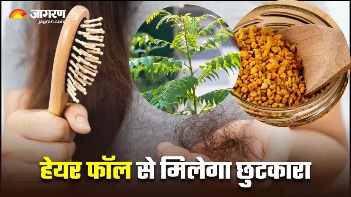 मेथी और कढ़ी पत्ते से रुकेंगे गुच्छों में झड़ते हुए बाल (Image Source: Freepik)