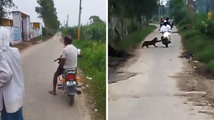 वायरल वीडियो छुछाई गांव की बताई जा रही है। वीडियो ग्रैब