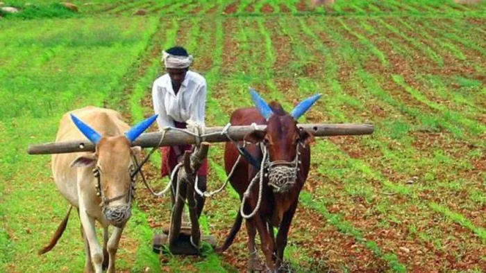 विशेषज्ञों ने स्किल गैप और कौशल मांग का आकलन किया (प्रतीकात्मक तस्वीर)
