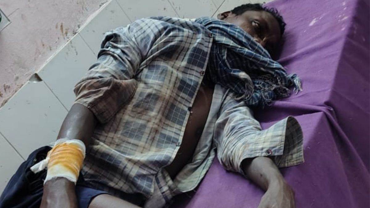 https://www.jagranimages.com/images/newimg/08092025/08_09_2025-bagha_farmet_attacked_24039608.jpg
