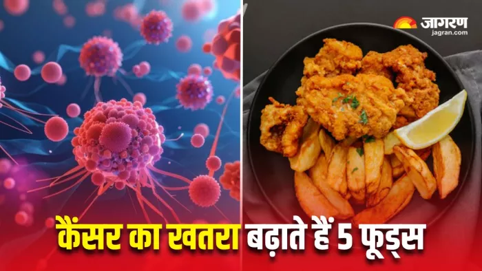 Cancer Causing Foods: ये 5 चीजें बढ़ा सकती हैं कैंसर का खतरा (Image Source: Freepik)