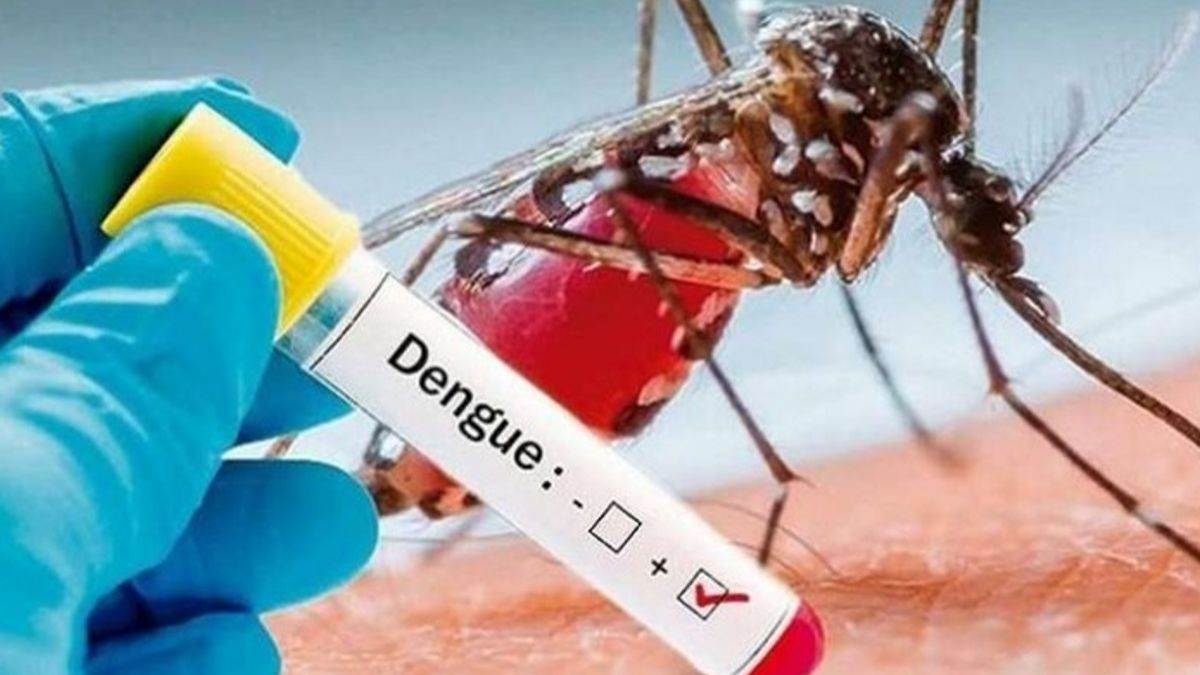 https://www.jagranimages.com/images/newimg/08092025/08_09_2025-dengue_24039388_41822913.jpg