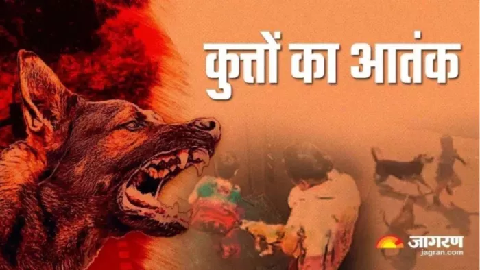 साइकिल चला रहे बच्चे पर कुत्तों के झुंड ने किया हमला, युवती ने बचाया