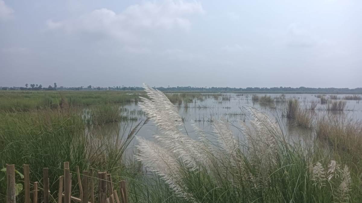https://www.jagranimages.com/images/newimg/08092025/08_09_2025-gopalganj_farming_24039574.jpg