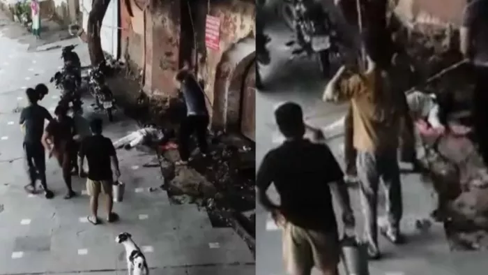 29 अगस्त की रात प्रसाद में चुनरी न देने पर सेवादार की पीट-पीटकर हत्या कर दी गई थी। वीडियो ग्रैब