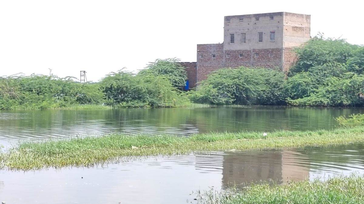 https://www.jagranimages.com/images/newimg/08092025/08_09_2025-mewat_news_24040036.jpg