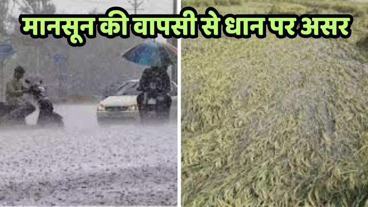 https://www.jagranimages.com/images/newimg/08092025/08_09_2025-monsoon_delay_impact_24040070.jpg