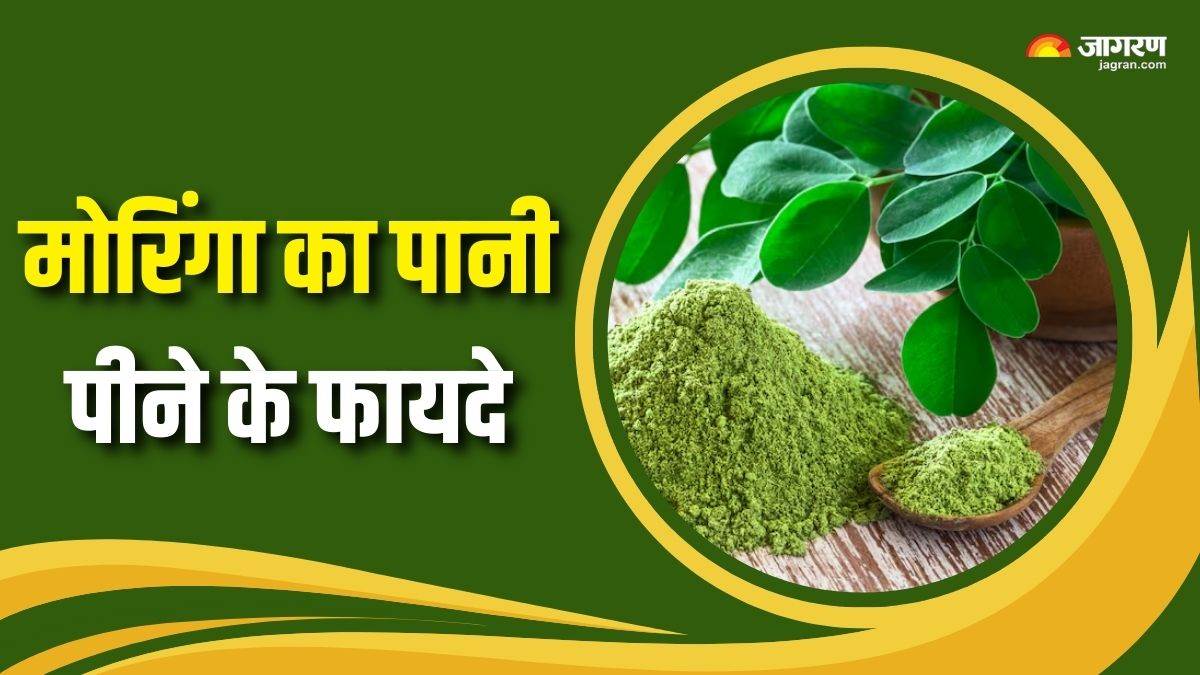 https://www.jagranimages.com/images/newimg/08092025/08_09_2025-moringa_water_benefits_24039943.jpg