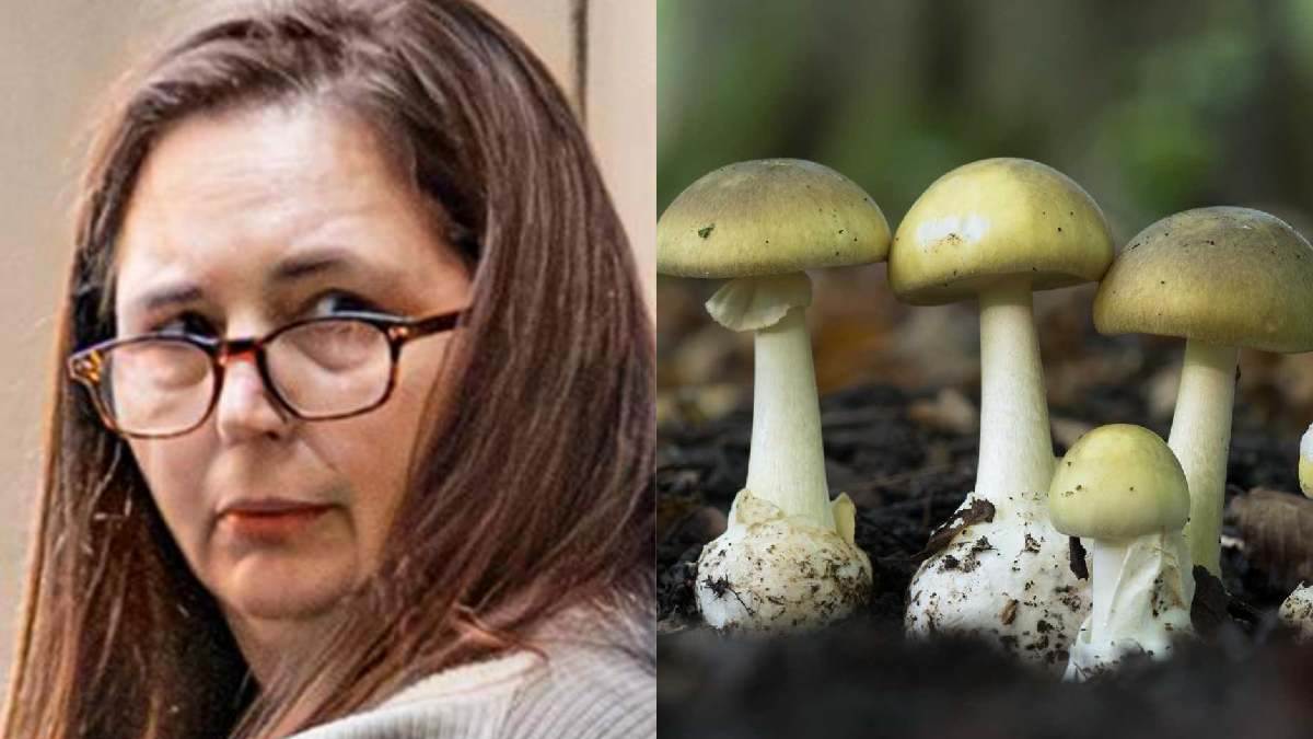 https://www.jagranimages.com/images/newimg/08092025/08_09_2025-mushroom_murder_1_24039566.jpg