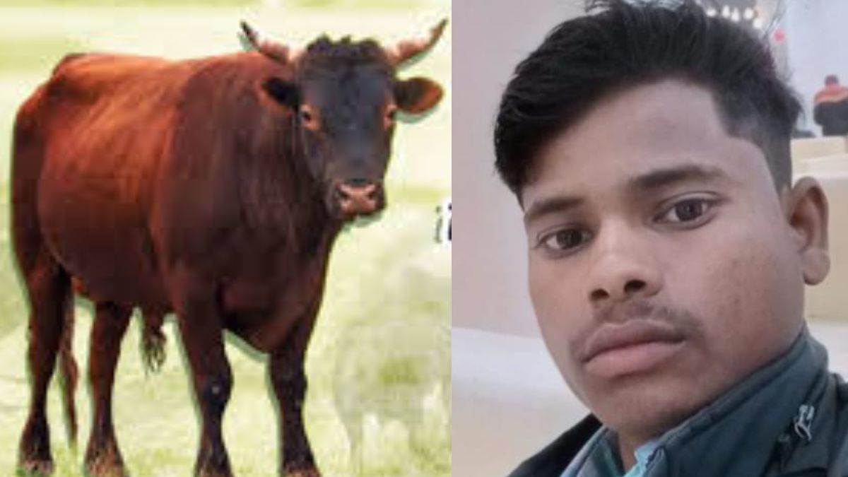 https://www.jagranimages.com/images/newimg/08092025/08_09_2025-road_accident_24040466.jpg