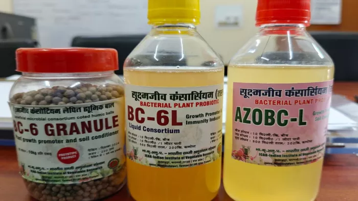 आइआइवीआर वाराणसी के विज्ञानियों ने तैयार किए मिट्टी के छह सुपरहीरो।