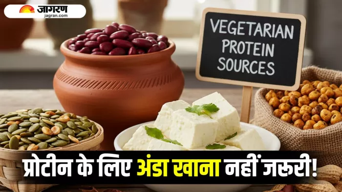 प्रोटीन में सबके बाप हैं ये 5 Superfoods, अंडा-मीट खाने की नहीं पड़ेगी जरूरत (Image Source: AI-Generated)
