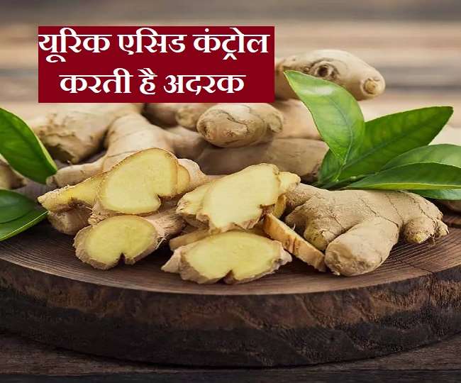 Ginger for Uric Acid Control यूरिक एसिड को कंट्रोल करने में बेहद