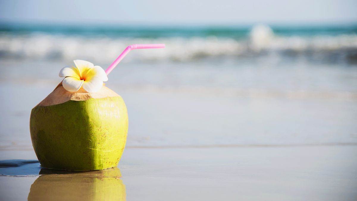 Coconut Water Side Effects फायदा ही नहीं नारियल पानी के नुकसान भी हैं