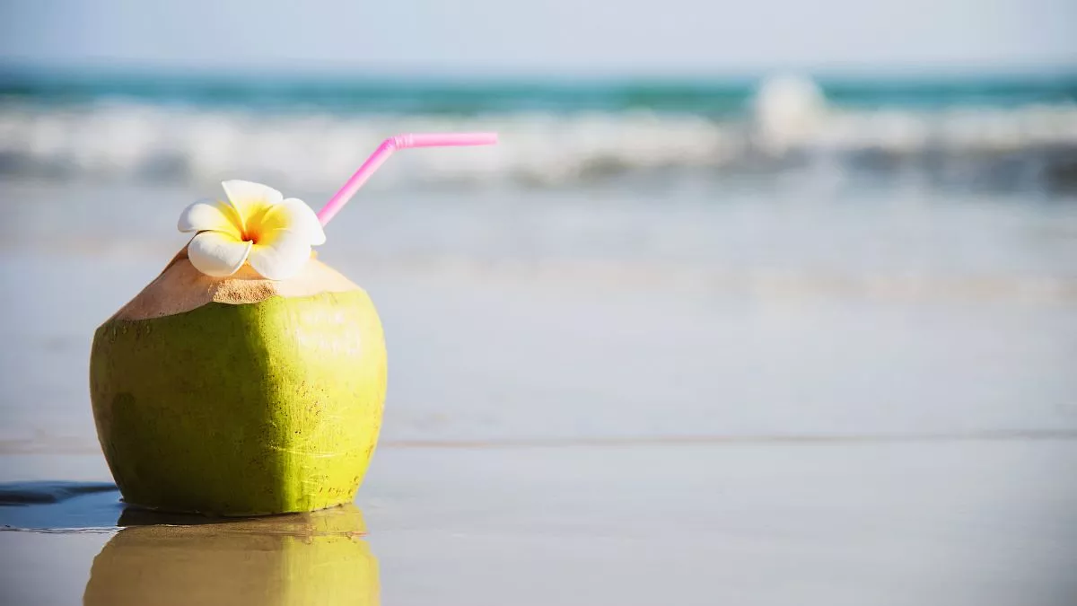 Coconut Water Side Effects फायदा ही नहीं नारियल पानी के नुकसान भी हैं