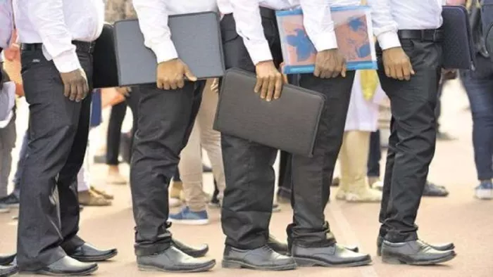 Retail job searches decline 11 8 pc indeed report